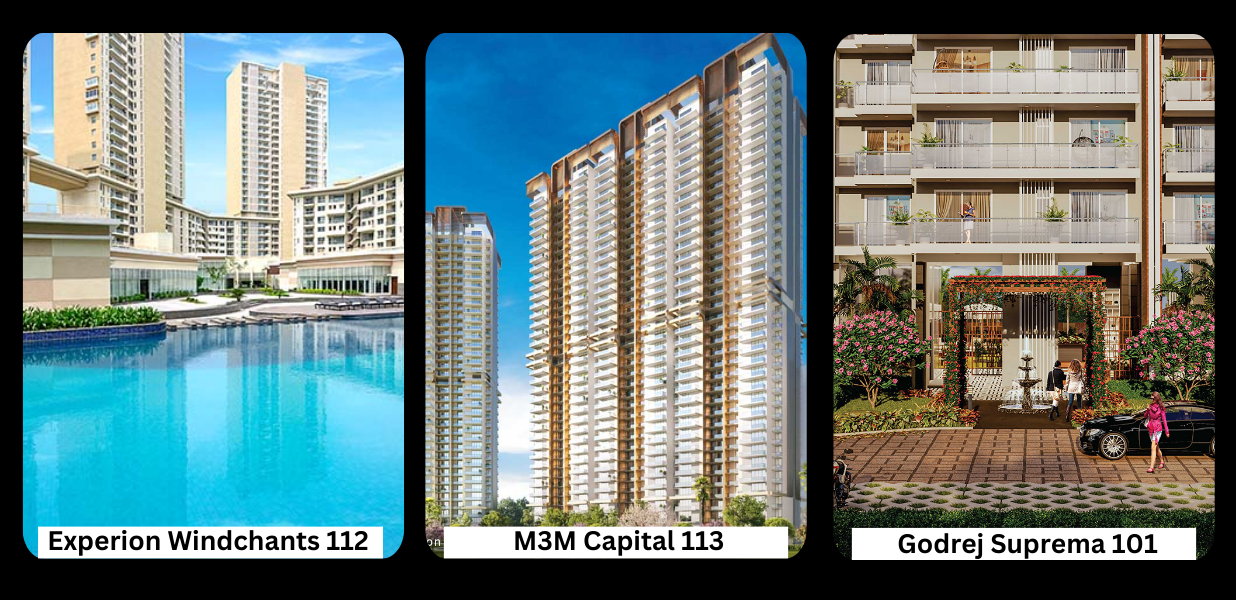 least tiny but still tiny puppy